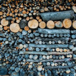 Catasta di legna pronta per l'inverno (© Nanni Villani PNAM)