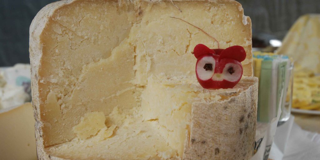Una forma di Ariùnd delle Alpi, formaggio prodotto in Valle Gesso (© Nanni Villani PNAM)