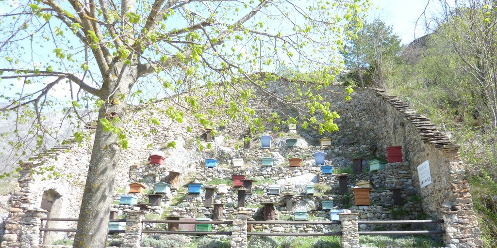Antico apiario alla Brigue (© Alain Lantéri Minet PNM)