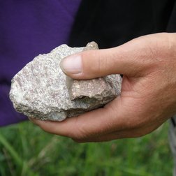Un frammento di calcare, roccia facente parte della copertura Sedimentaria dei due Parchi (© Laura Martinelli PNAM)