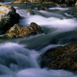 Il torrente del Pian del Valasco in prossimità della cascata (© Roberto Malacrida)