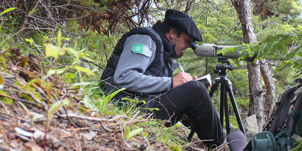 Monitoraggio aquila da un guardiaparco (© Laurent Malthieux PNM)