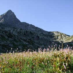 Il Monte Frisson in alta Val Grande (G. Bernardi)